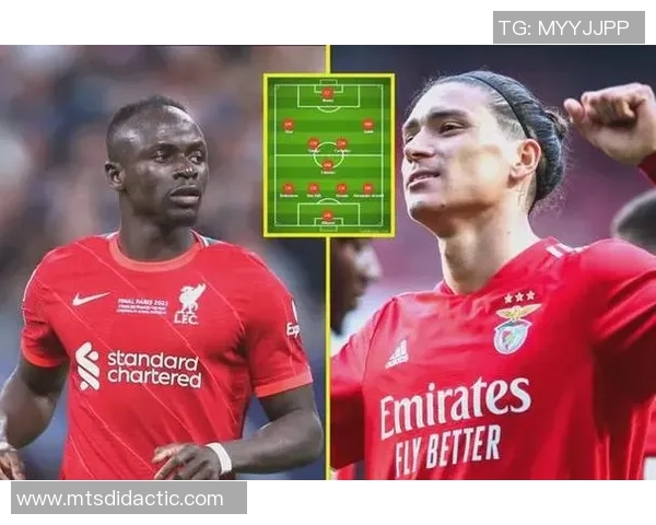 努涅斯在赛场上的崛起与挑战解析，如何成为足球界的新星